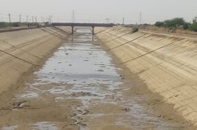 satalpur taluka, canal-1