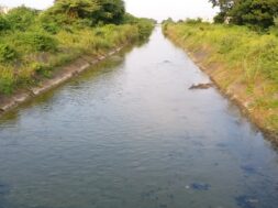 ukai dam canal-1