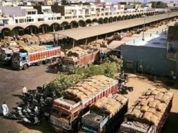 unja market yard-1