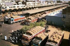 unja market yard-1