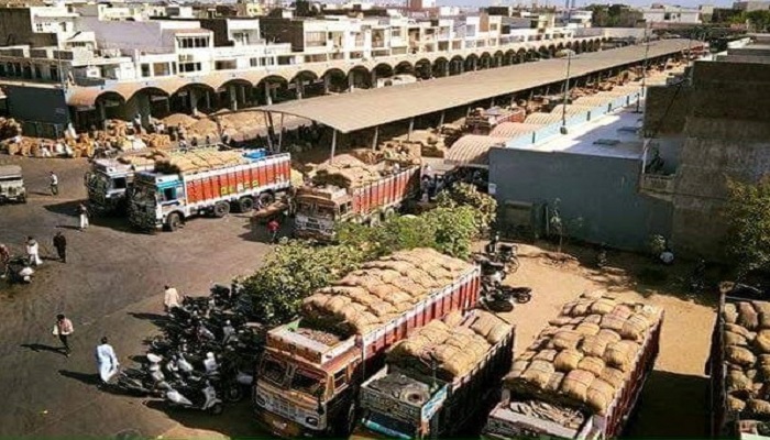 રાસાયણિક ખાતર, દવાના ઉપયોગને લીધે વિદેશમાં મરી-મસાલા રિજેક્ટ થતાં નિકાસકારો ચિંતિત