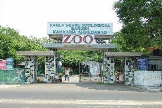 zoo-kankaria-1