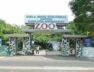 zoo-kankaria-1