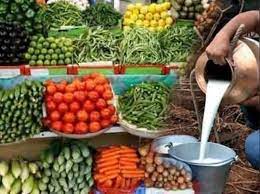 શિયાળામાં તમારા આહારમાં દૂધ અને આ શાકભાજીનો ભરપુર કરો ઉપયોગ- ઈમ્યૂનિટી બનશે સ્ટ્રોંગ