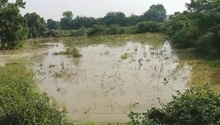 લખતરના વિઠ્ઠલગઢ નજીક નર્મદાની પેટા કેનાલમાં ગાબડું પડતા પાણી આસપાસના ખેતરોમાં ફરી વળ્યાં