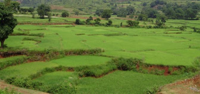 સરકાર ટૂંક સમયમાં લોન્ચ કરી રહી છે જમીનોનું આધાર કાર્ડ, તેના આ ફાયદા થશે