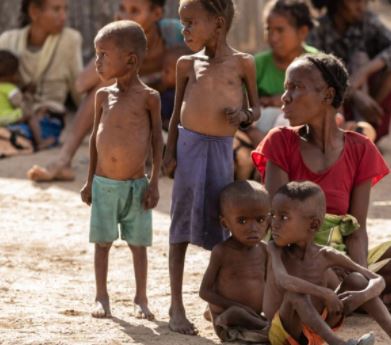મડાગાસ્કરમાં વિકટ સ્થિતિ, ભૂખમરાને કારણે લોકો તીડ ખાવા બન્યા મજબૂર