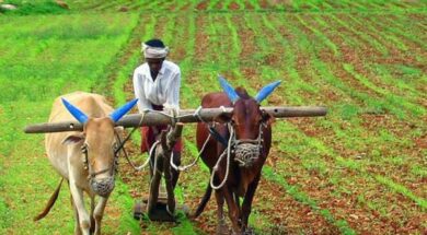 Maharashtra-farmers_PTI