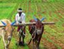 Maharashtra-farmers_PTI
