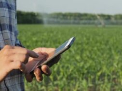 Mobile phone in the hands of a farmer-1