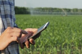 Mobile phone in the hands of a farmer-1