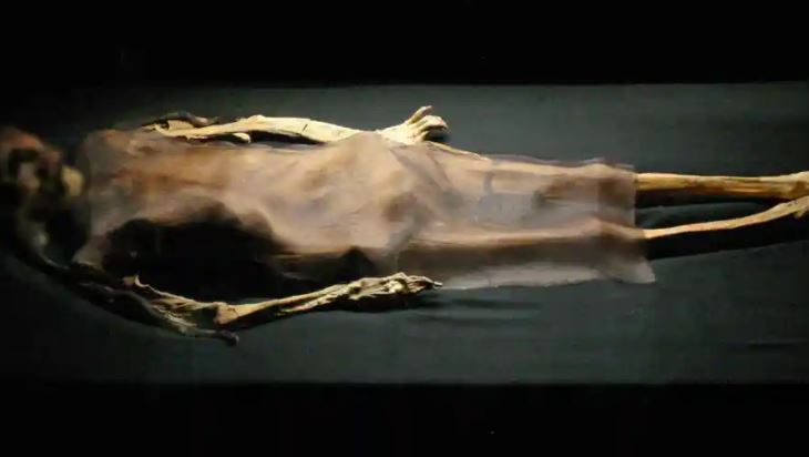પેરુમાંથી 800 વર્ષ જૂનું મમી મળ્યું, સંશોધનકર્તાઓના પણ ઉડ્યાં હોંશ