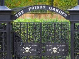 The_Poison_Garden