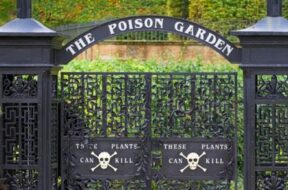 The_Poison_Garden