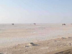 kutch white runn-1