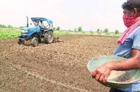 rabi sowing-1