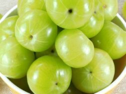 raw-amla-28indian-gooseberry-29-500×500