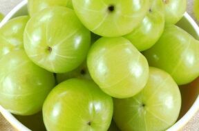 raw-amla-28indian-gooseberry-29-500×500