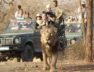 sasan gir lion-1