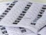 voter list-1