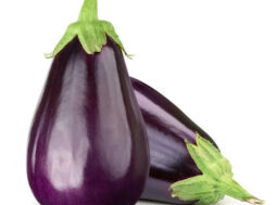 35371-0w600h600_Eggplant_From_France