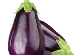 35371-0w600h600_Eggplant_From_France
