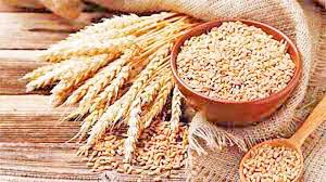 દેશની મોટી ઉપલબ્ધિ- અરબ દેશોને અનાજની નિકાસ કરનાર સૌથી મોટો દેશ બન્યો ભારત ,બ્રાઝિલને પછાળ્યું