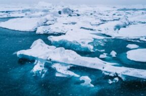 Arctic