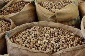 BL11GROUNDNUTS