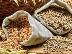 Food grains