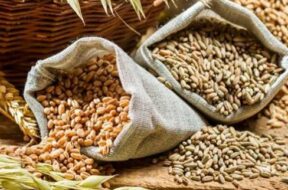 Food grains