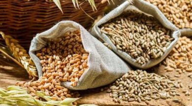 Food grains