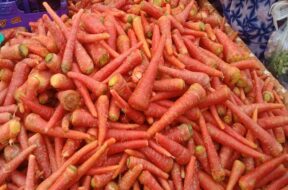 carrots in patan-1