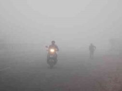 rajkot fog-1