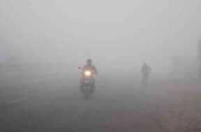 rajkot fog-1