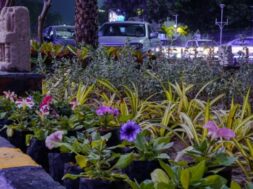 Ahmedabad Green airport