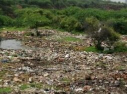 Aravalli