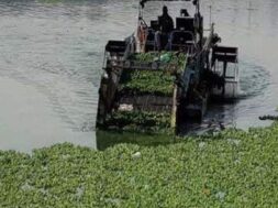 Wild vegetation removed by machine in Sabarmati river-1