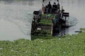 Wild vegetation removed by machine in Sabarmati river-1