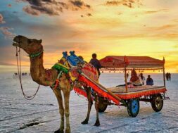 know-warm-places-to-visit-in-india-in-winter-travel_g