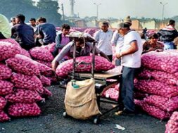 mahuva markey yard-onion-1