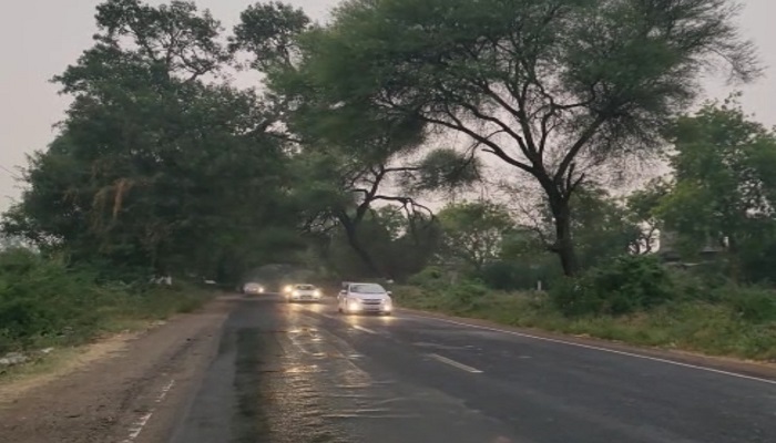 ગુજરાતના વાતાવરણમાં પલટો, ક્યાંક માવઠું પડ્યું તો ક્યાંક વીજળી, કામરેજમાં નાળિયેરનું ઝાડ સળગી ગયું