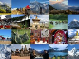 2e2c1711fe12b24ae23d95c35bfd21c2_Generic