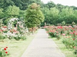 Gardens in ahmedabad-1