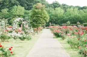 Gardens in ahmedabad-1