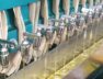 Groundnut Oil Mill-1