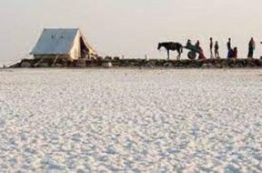 KUTCH RAN MOHTSAV
