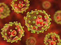 Lassa-fever-First-UK-death-as-three-cases-are-confirmed