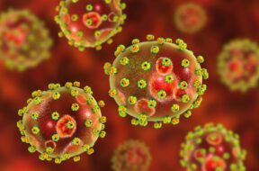 Lassa-fever-First-UK-death-as-three-cases-are-confirmed