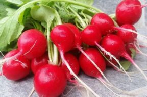 Radishes-1